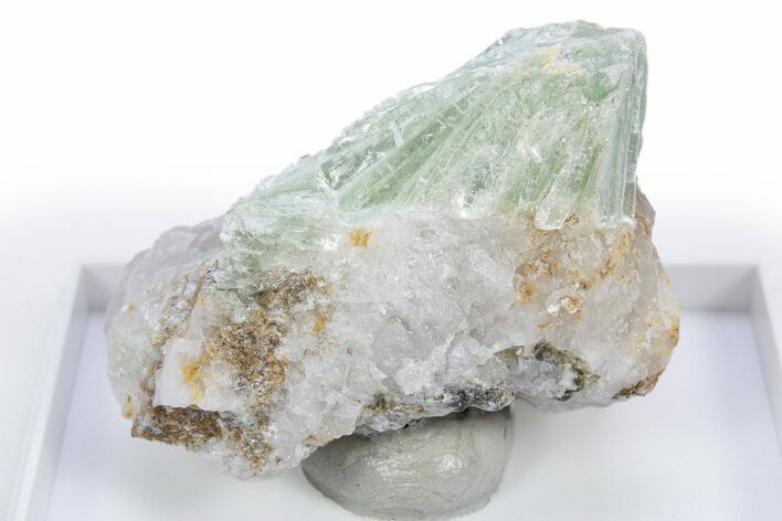 Sea Foam Green Pyrophyllite Crystals in Matrix - Switzerland #305437